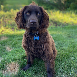 Meet your Posher, Shayna